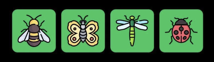 FLIES Daily Combo 3 June 2025